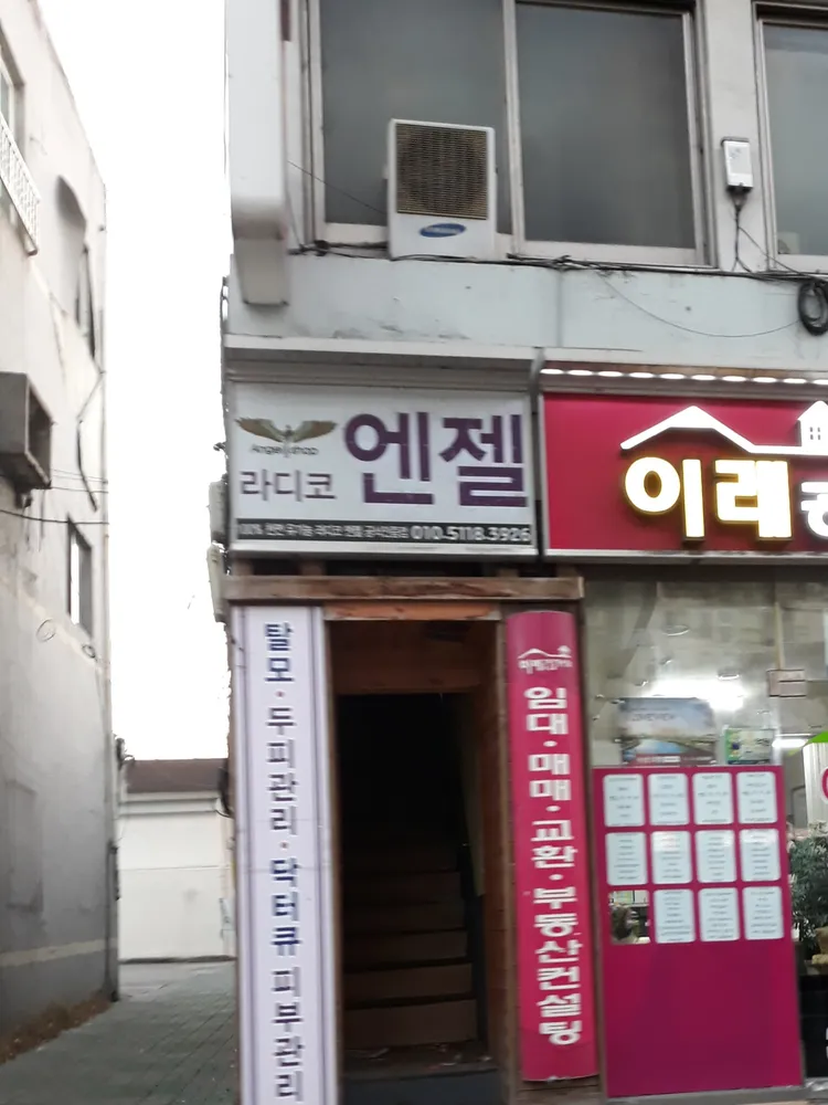 라디코엔젤 대표 이미지