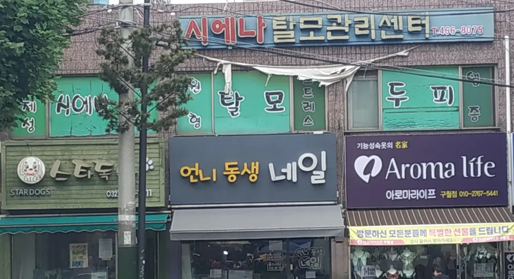시에나 두피탈모관리센터 대표 이미지