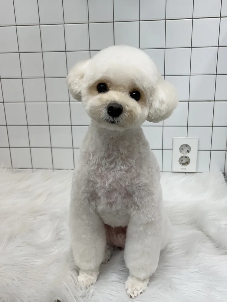 개목욕탕 대표 이미지