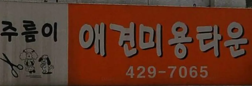 주름이애견미용타운 대표 이미지