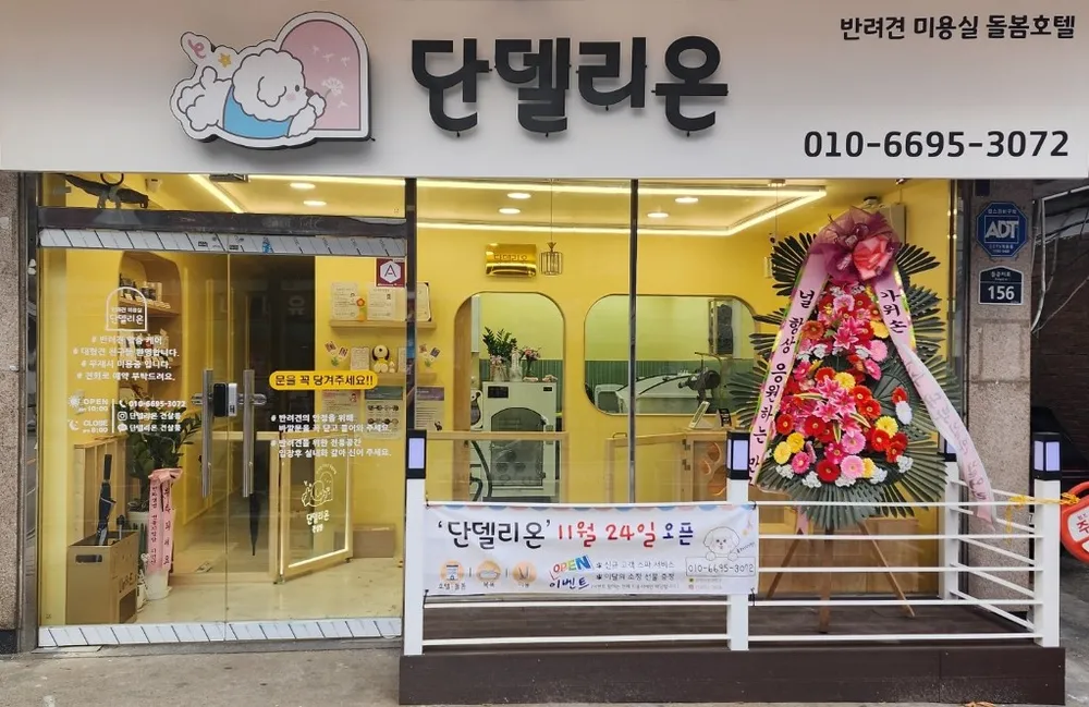 단델리온 대표 이미지