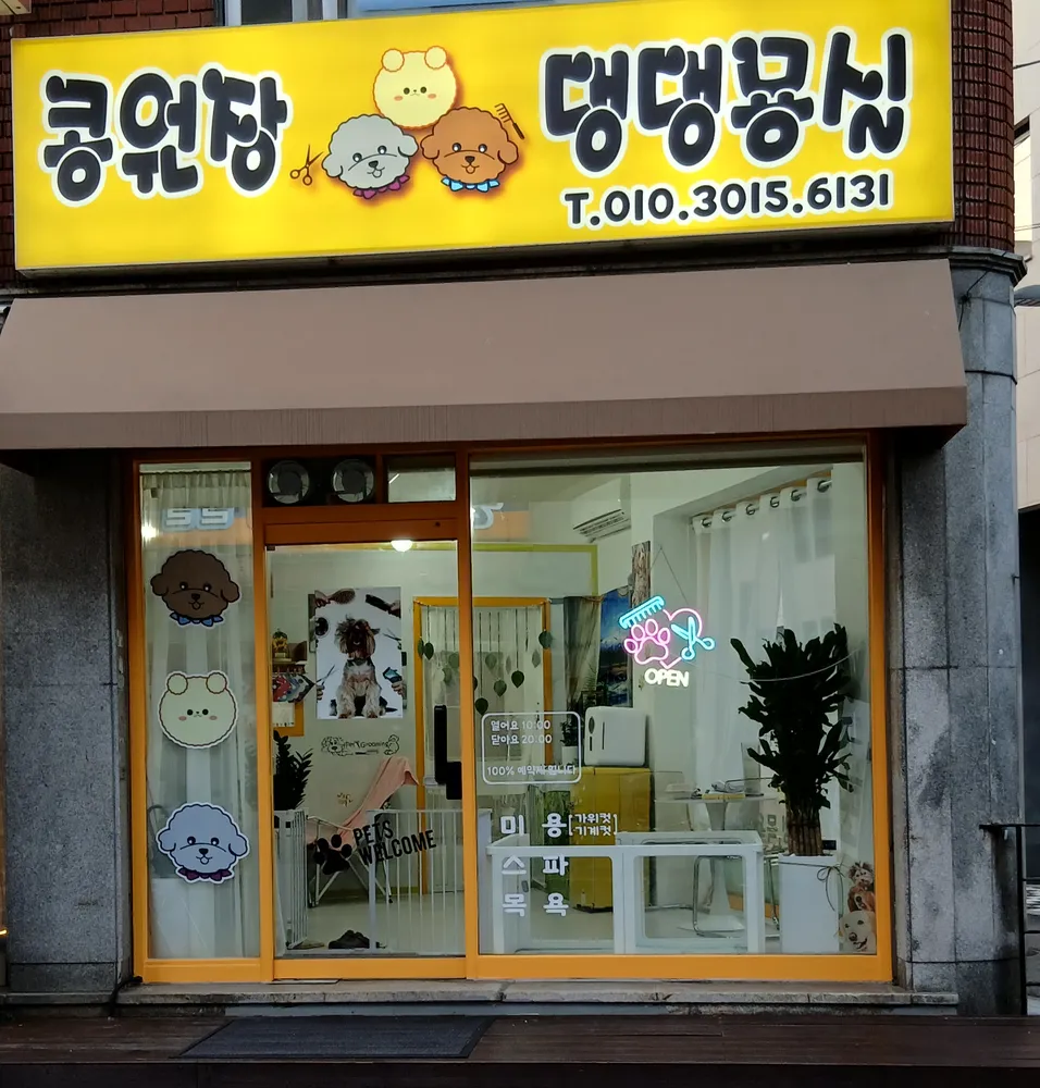콩원장 댕댕묭실 대표 이미지