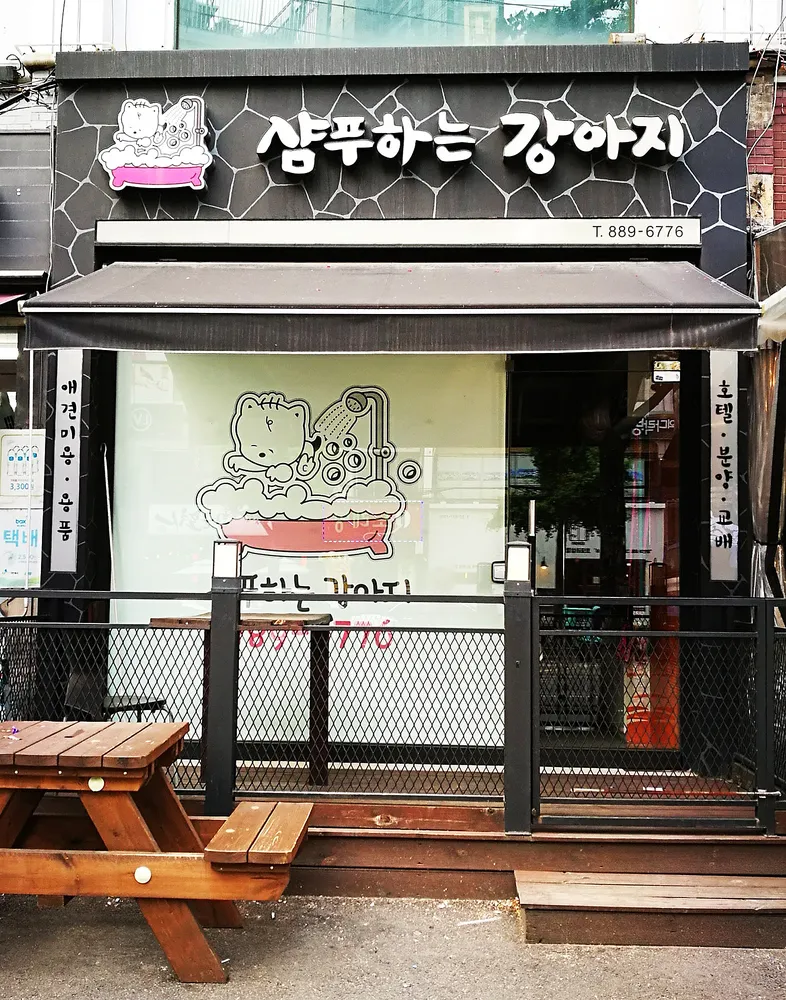 샴푸하는강아지 대표 이미지