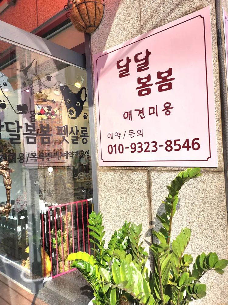 달달봄봄 애견미용 대표 이미지