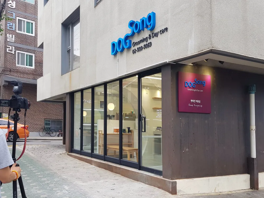 도그송 대표 이미지