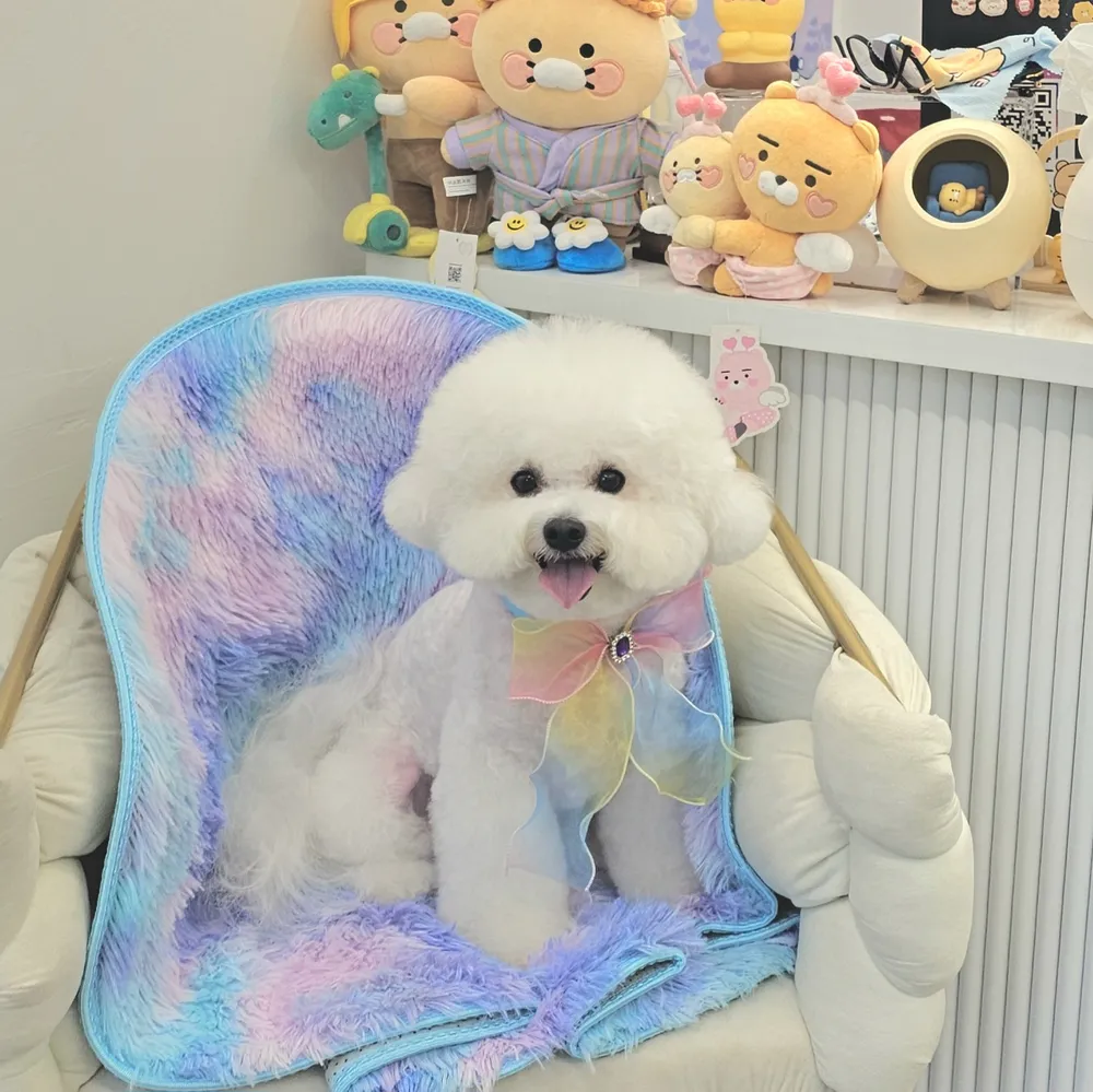 몽드봉 대표 이미지