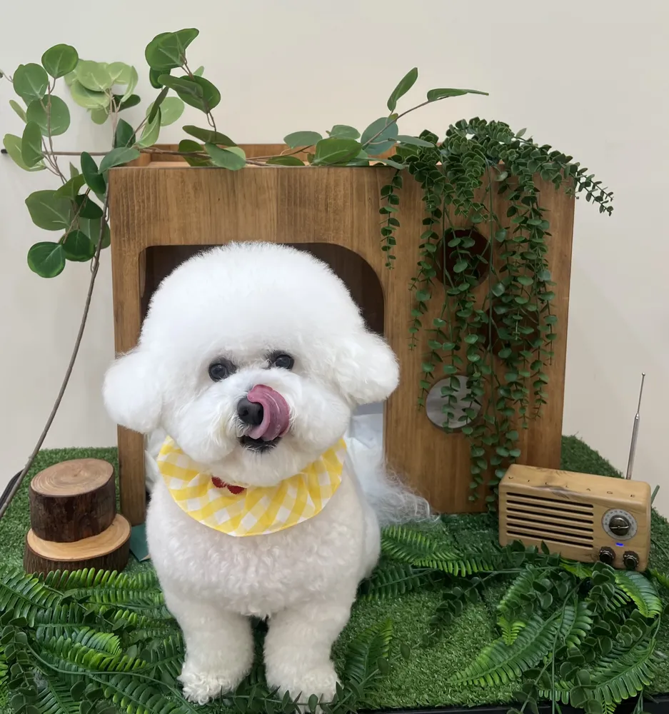 털보하우스 대표 이미지