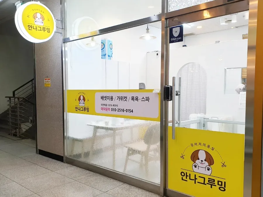 안나그루밍 대표 이미지