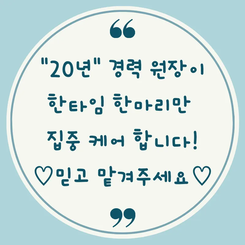 엠펫 반려견미용실 대표 이미지