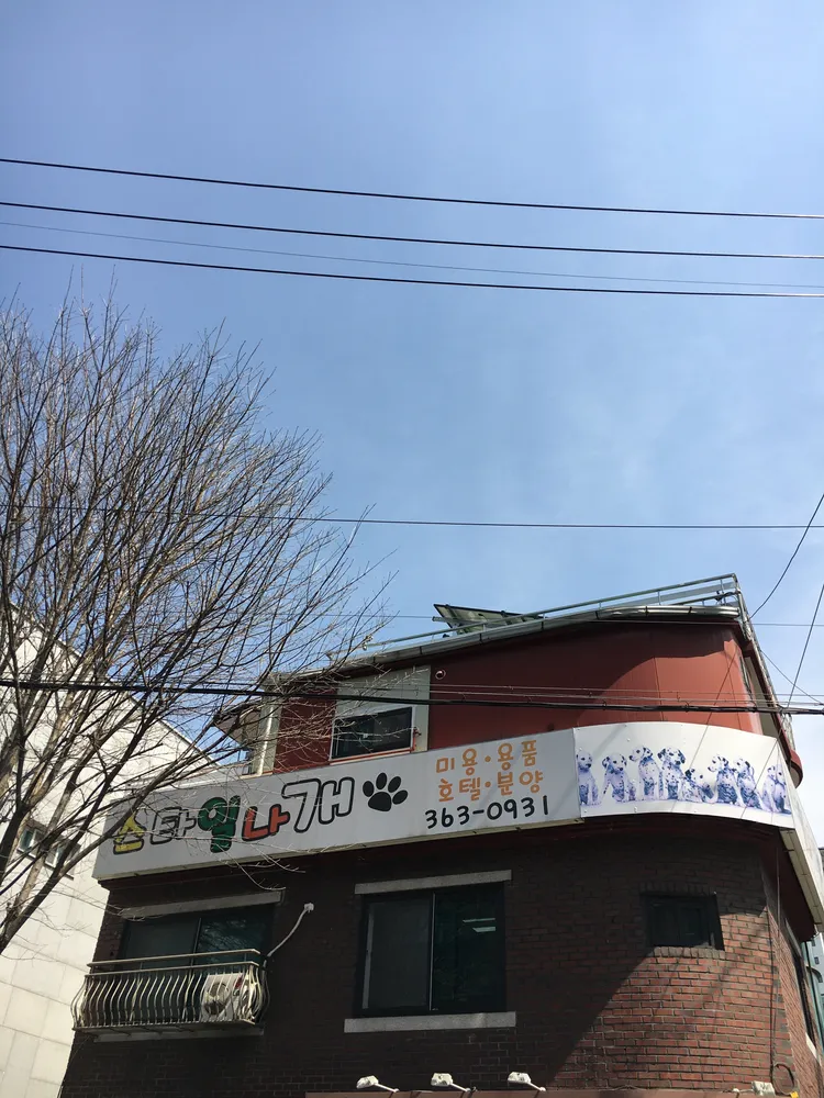 스타일나개 대표 이미지