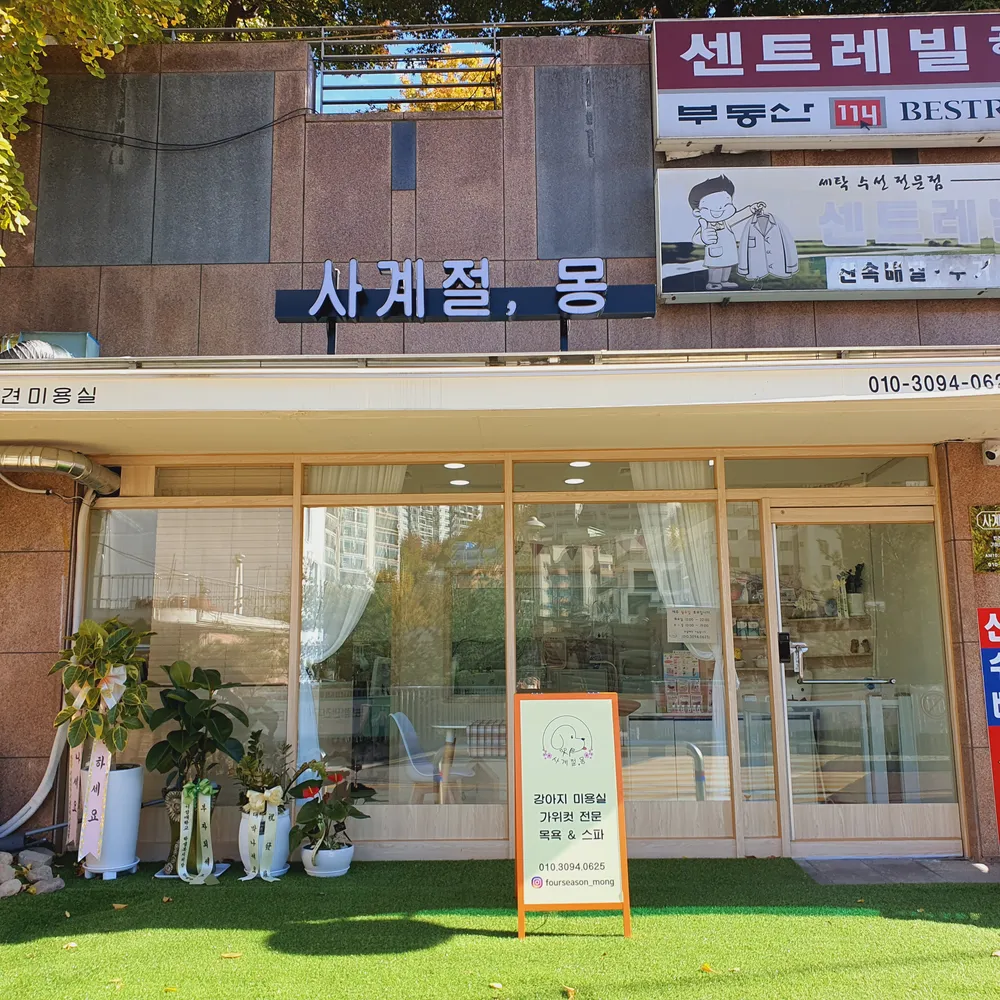 사계절몽 대표 이미지