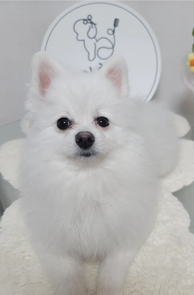이루네 살롱 대표 이미지