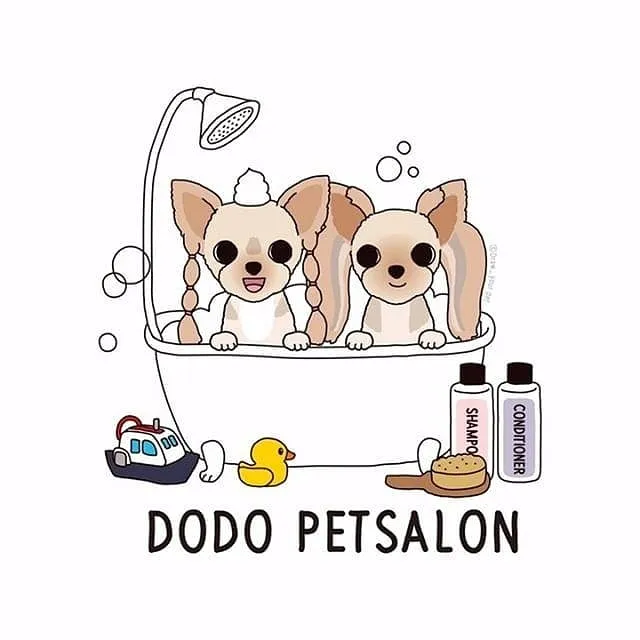 도도애견샵 대표 이미지