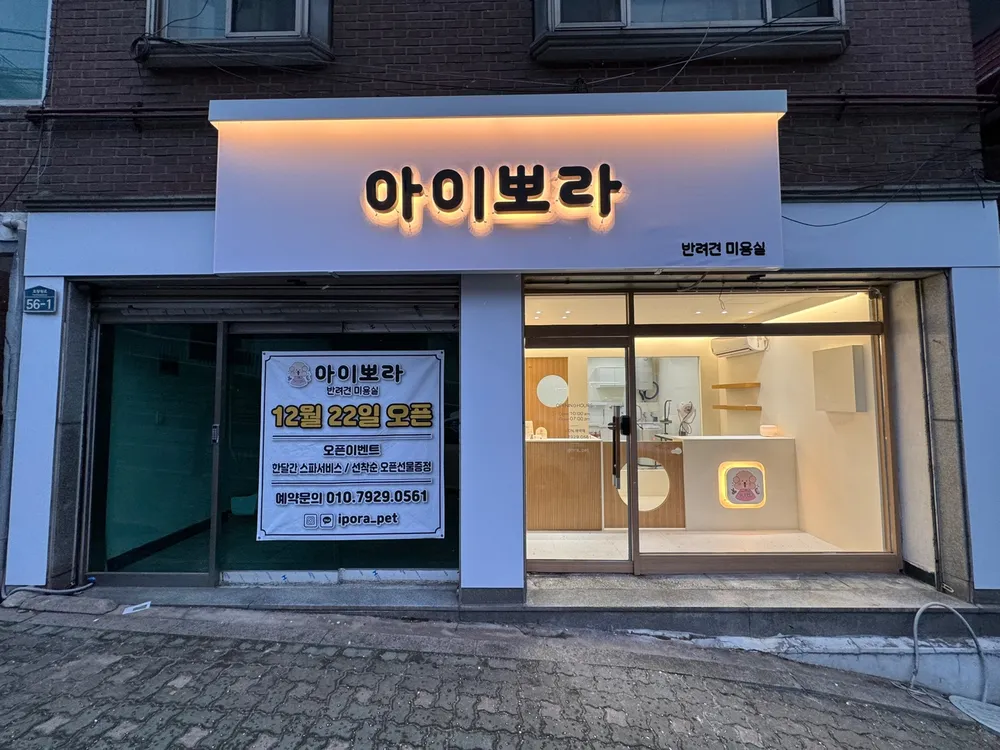 아이뽀라 대표 이미지