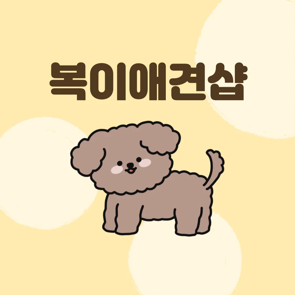 복이애견샵 대표 이미지
