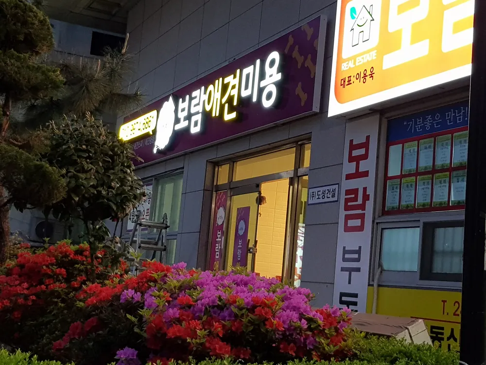 보람애견미용 대표 이미지
