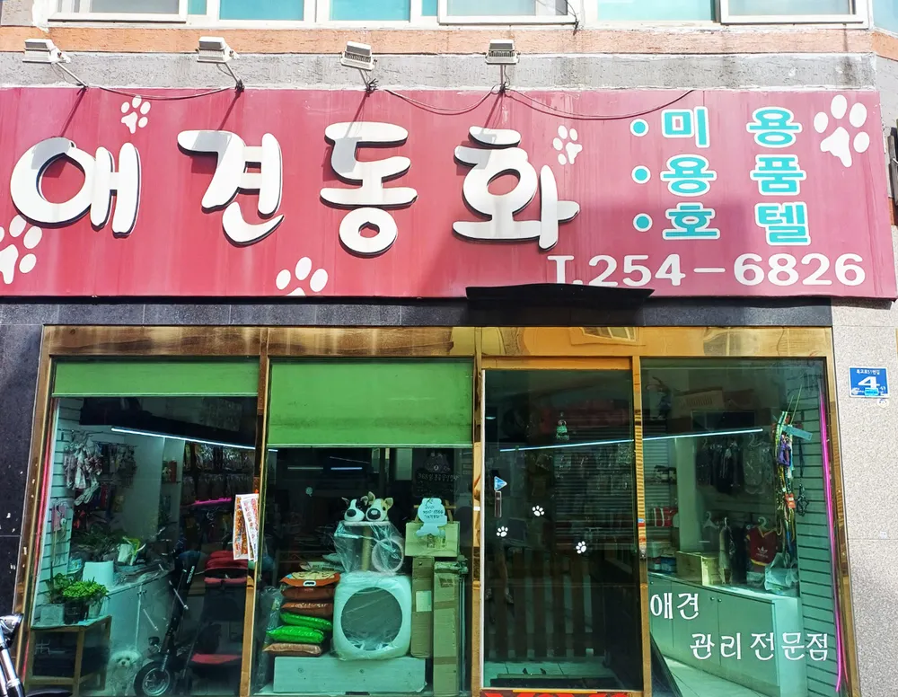 애견동화 대표 이미지
