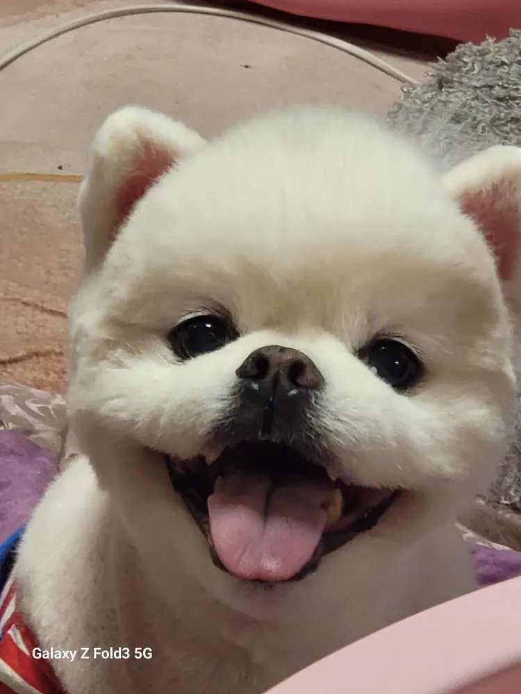 J 엣 야니 스타일 대표 이미지