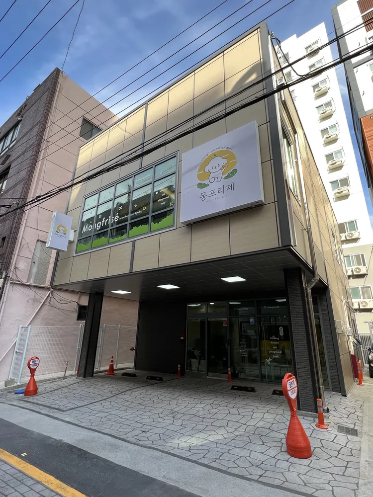 몽프리제 대표 이미지