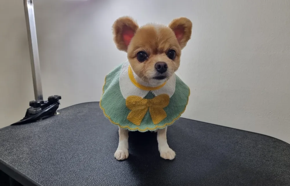 루비네목욕탕 대표 이미지