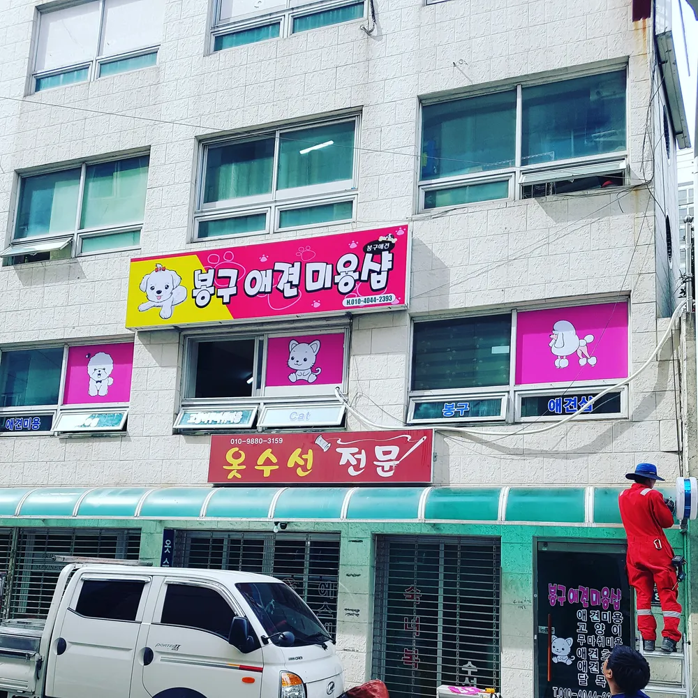 봉구애견미용샵 대표 이미지