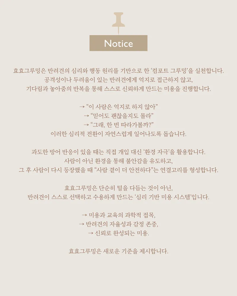 효효그루밍 대표 이미지
