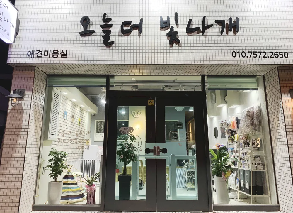 오늘더 빛나개 대표 이미지