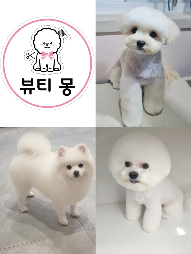 뷰티 몽 대표 이미지