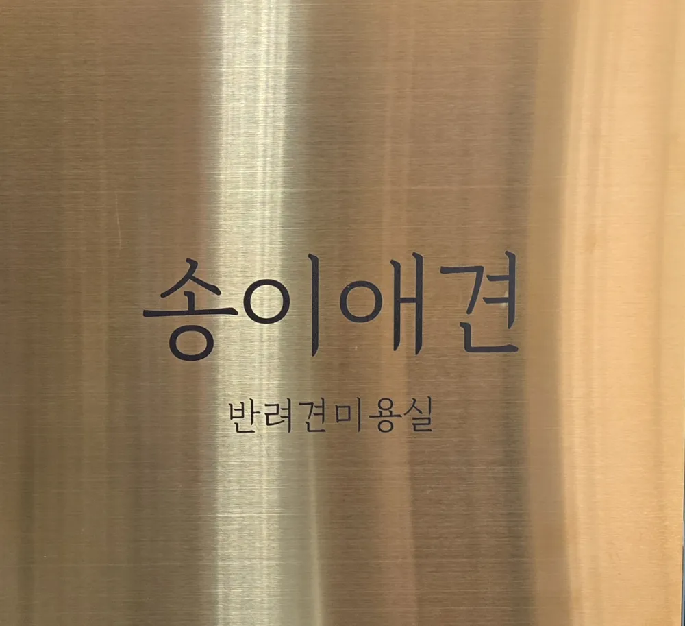 송이애견 대표 이미지