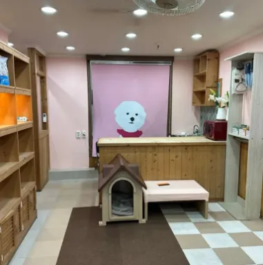 포숑애견미용 대표 이미지