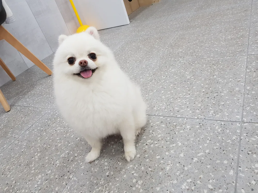 아지놀이방 대표 이미지