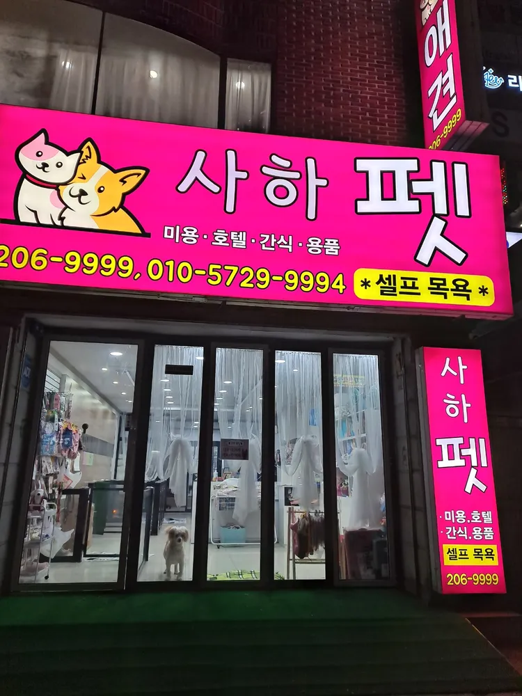 사하펫 대표 이미지