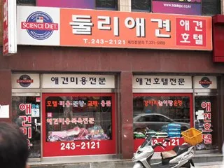 둘리애견 대표 이미지