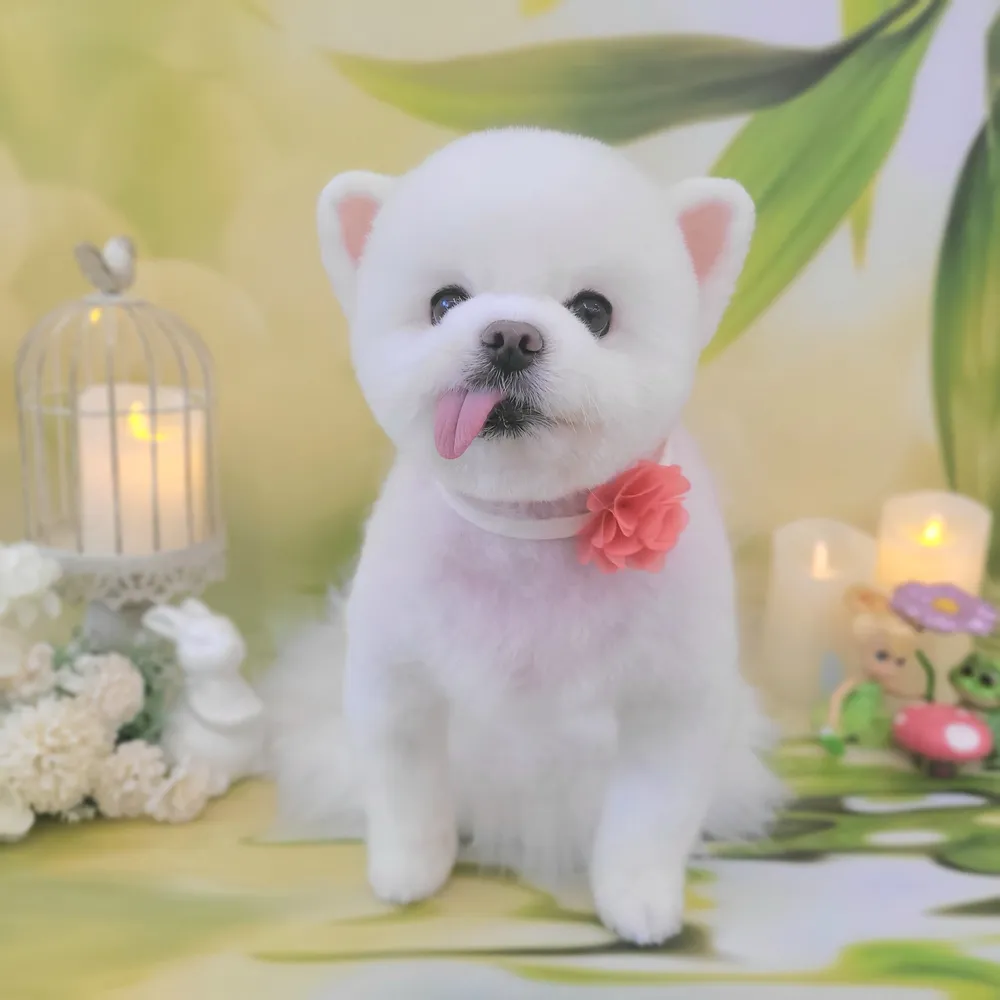 플라워퍼피 대표 이미지
