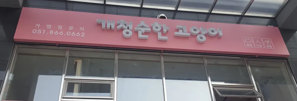 개청순한고양이미용실 대표 이미지
