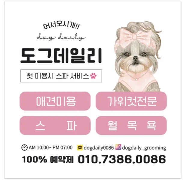 도그데일리 대표 이미지