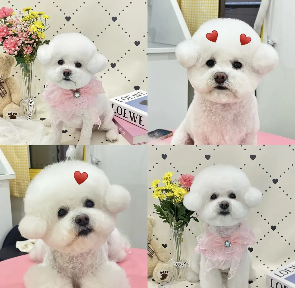 히어몽 대표 이미지