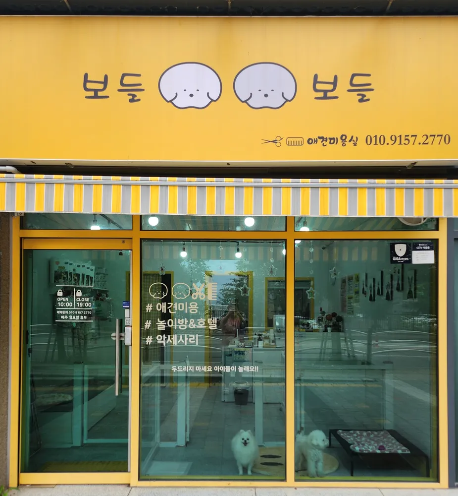 보들보들 대표 이미지