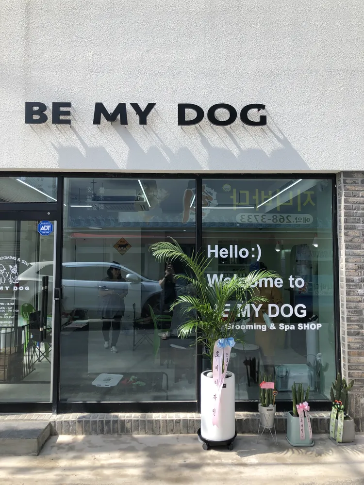 비 마이 독 대표 이미지