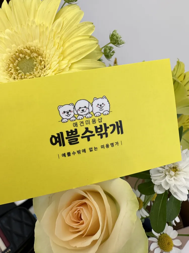 예쁠수밖개 대표 이미지