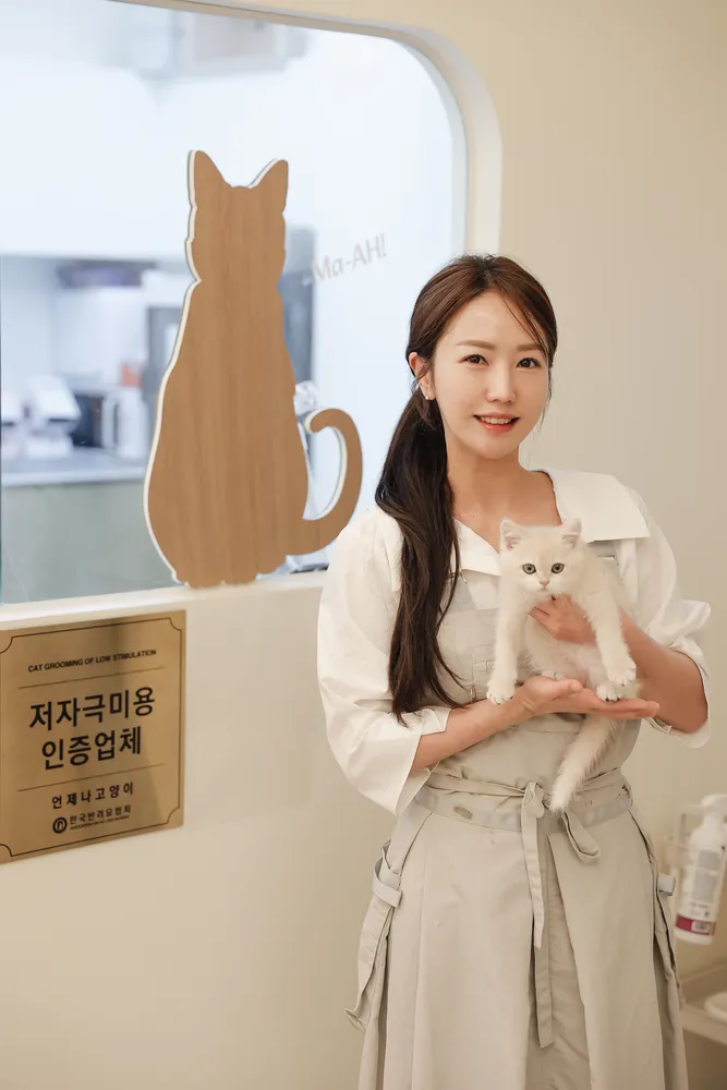 언제나고양이 인천구월 대표 이미지