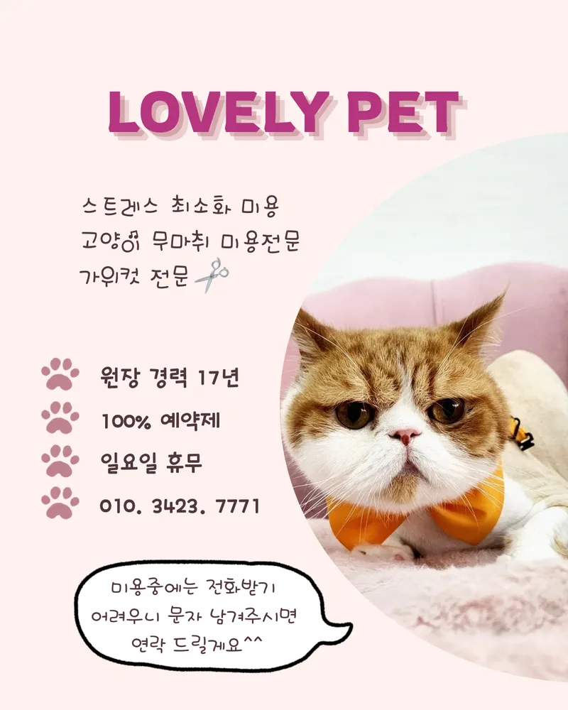 러블리펫 대표 이미지