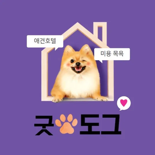 착한개조아 대표 이미지