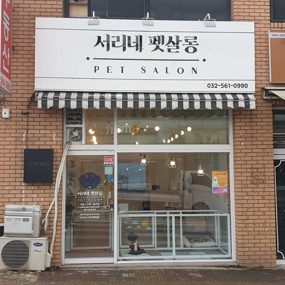 서리네펫살롱 대표 이미지