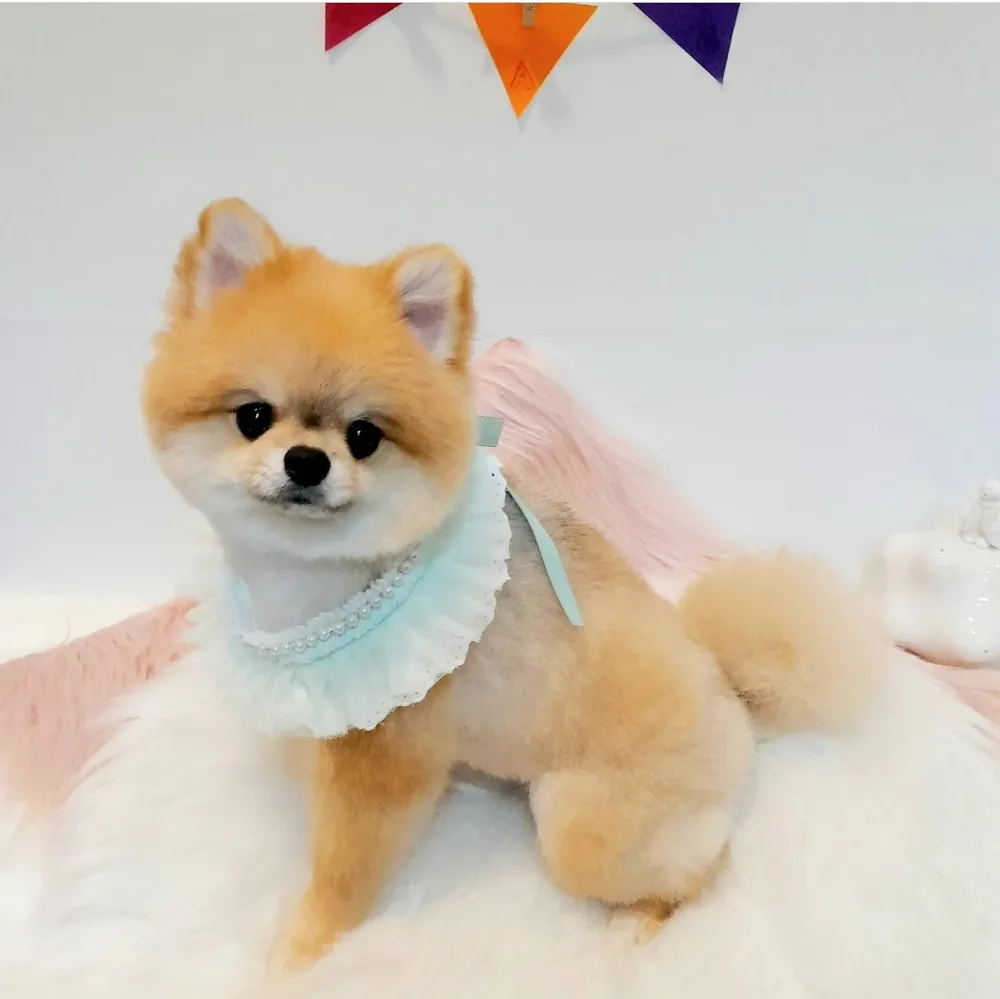 올리스 인천아시아드점 대표 이미지