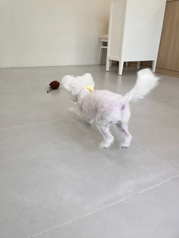 그룸그룸 대표 이미지