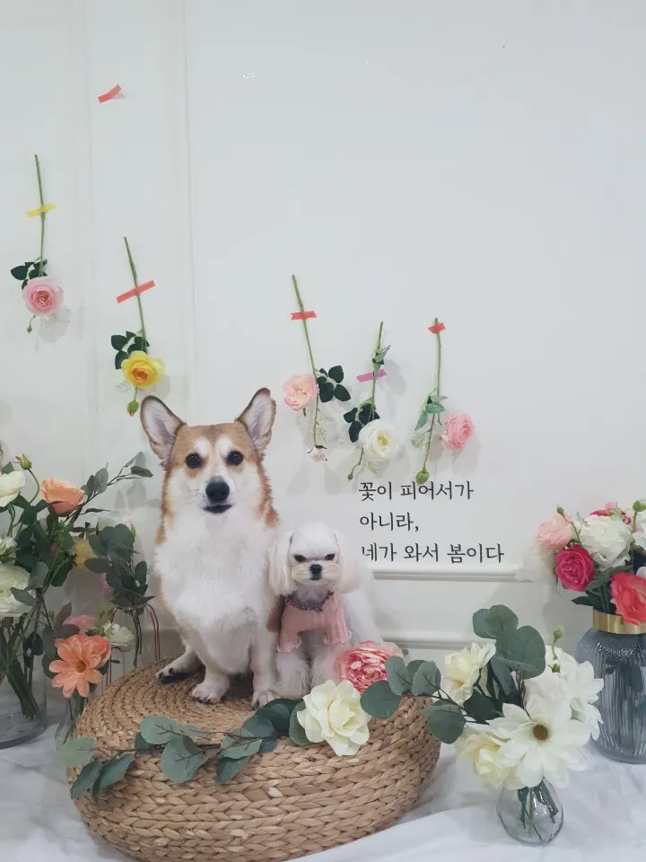 구르미살롱 대표 이미지