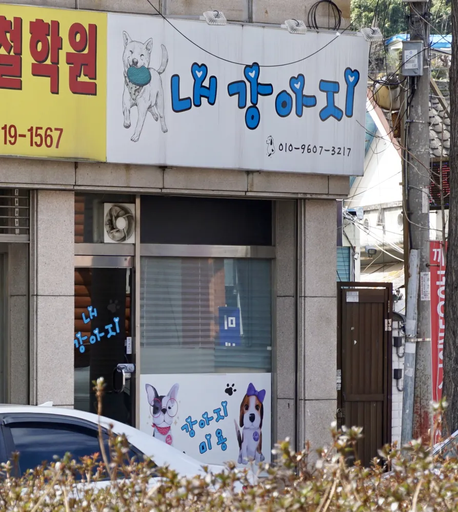 내강아지 대표 이미지