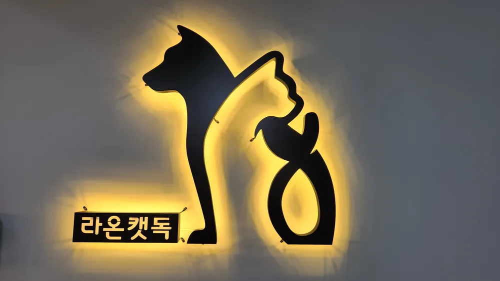 라온캣독호텔 펫살롱 광주점 대표 이미지