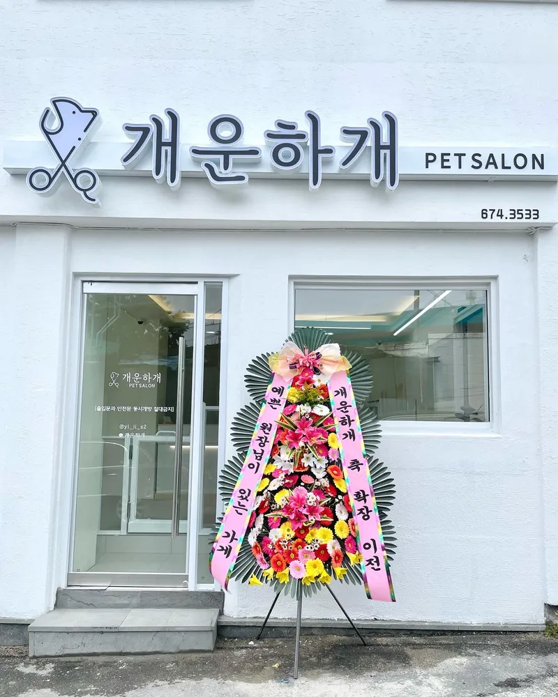 개운하개 대표 이미지